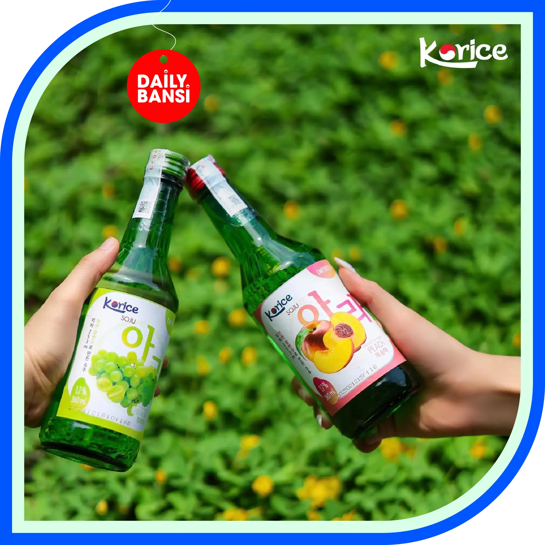 SOJU KORICE